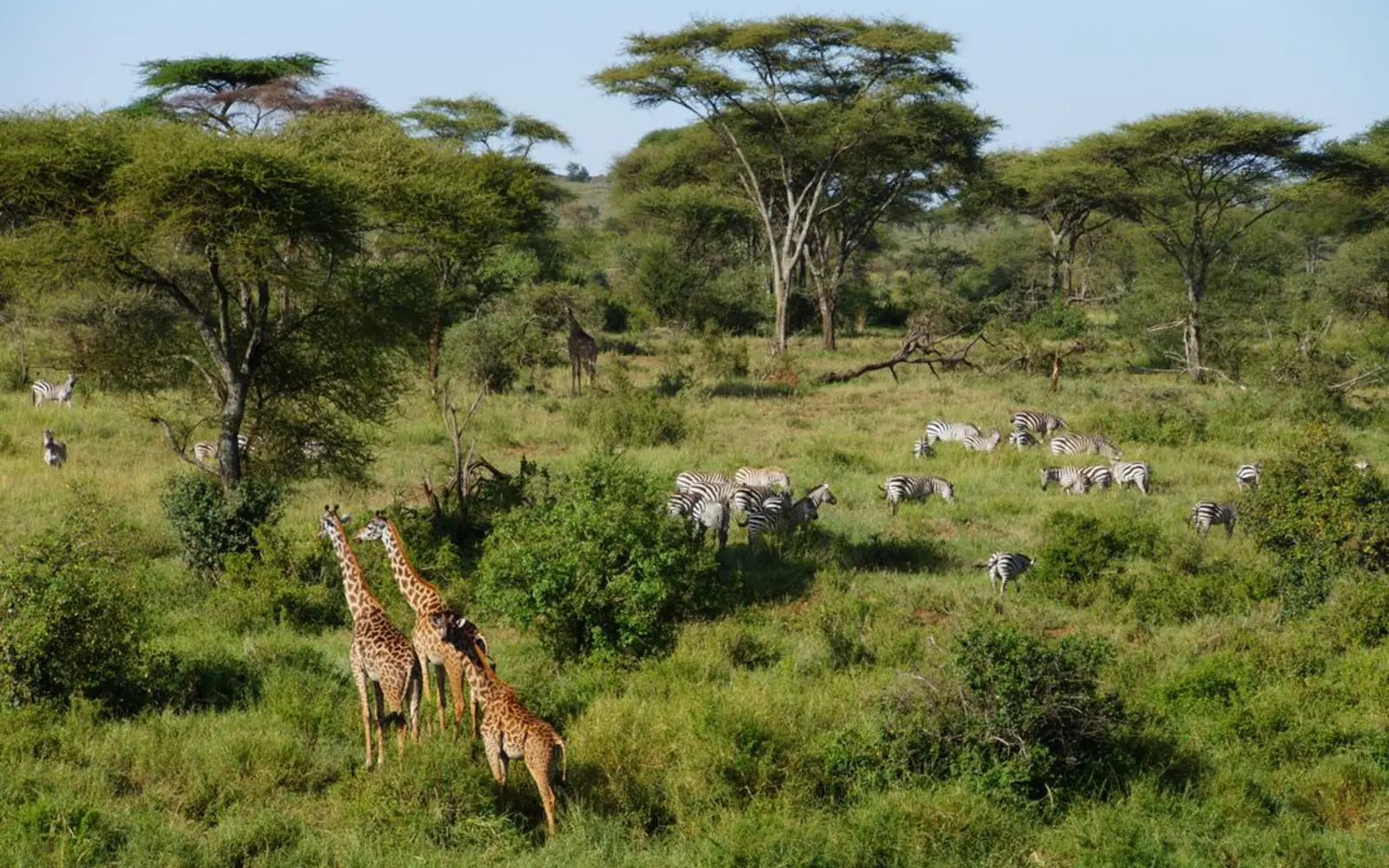 Arusha National Park Day Trip