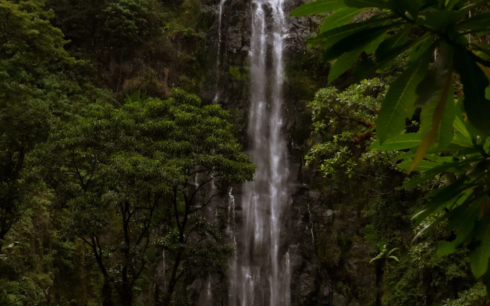 Udzungwa Mountains National Park