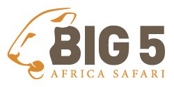 Big 5 Africa Safari